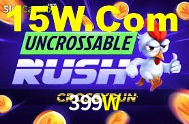 Bonus Features 399W